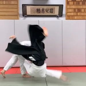 合気道　理科大葛飾道場の画像