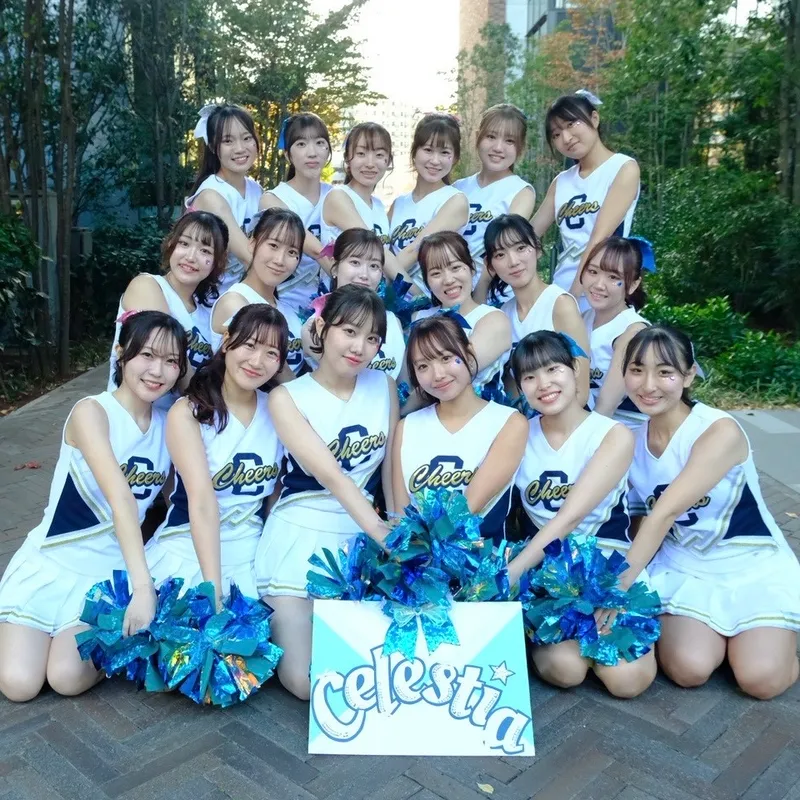 チアダンス公演の紹介画像